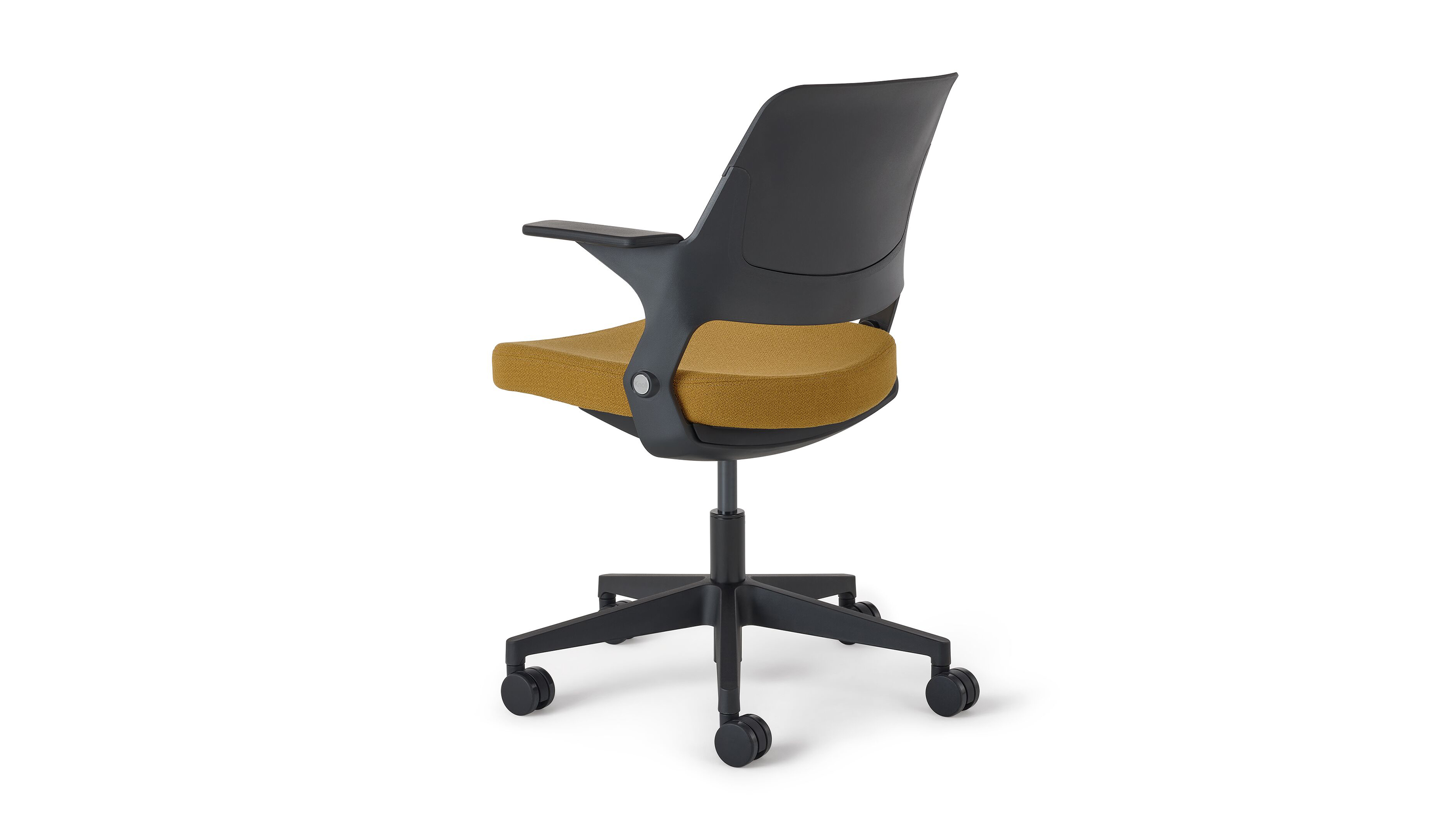 Ollo Shell Back