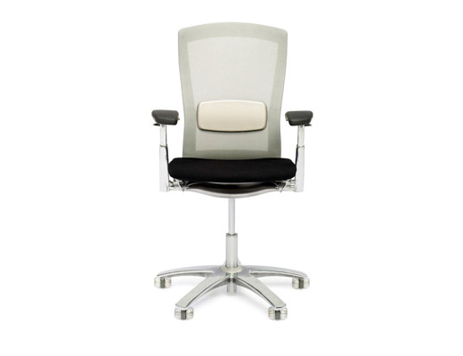 Life Chair